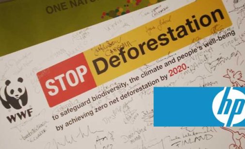 HP: deforestación cero para el 2020