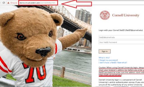 Estafadores usan phishing para robar credenciales universitarias en Colombia y el mundo