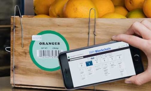 IBM Blockchain platform para mejorar la seguridad alimentaria